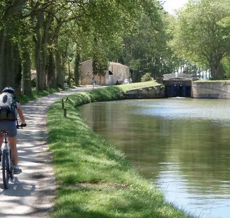 Figues Et Caraïbes Hébergement de vacances *